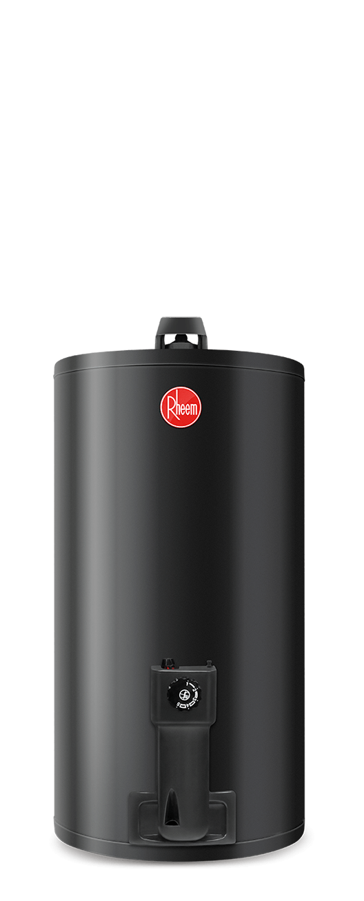 Termotanque a Gas Natural de Colgar 80 L - TGNC080RH - Rheem